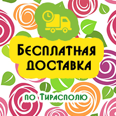 Доставка по Тирасполю